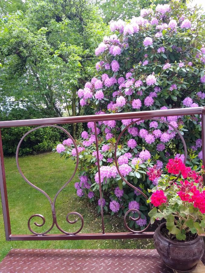 Alster Garden Lejlighed Hamborg