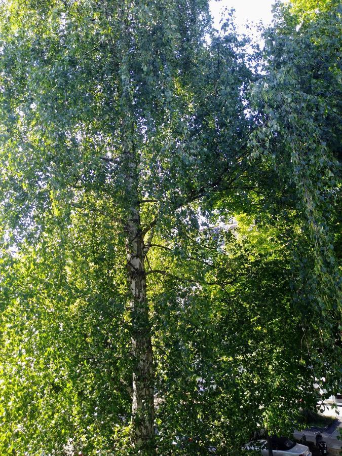 Alster Garden * Hamborg